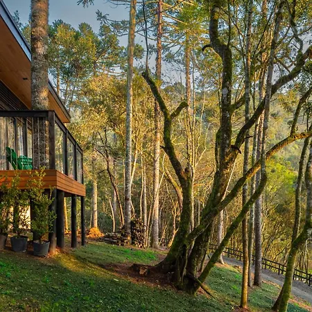 Green Barn Hotel & Bistro Urubici Exterior photo
